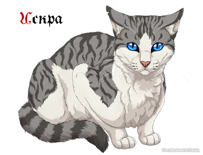 Коты Воители ~~~ Искра | Art (RUS) Amino