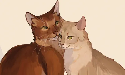 Request - Sandstorm and Firestar by Lightingfall on DeviantArt