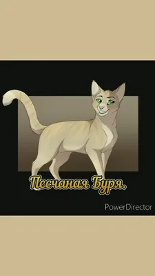 Песчаная Буря. коты воители | Кот-воитель, Кот, Бури