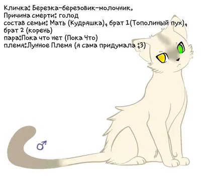 Имена Котов–Воителей — Коты–Воители Знамение Звёзд