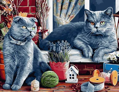 Картина по номерам "Британские коты" 50*65см в коробке: продажа, цена в  Днепре. Картины по номерам от ""ArtStory" картины по номерам, алмазная  мозаика" - 1460848879