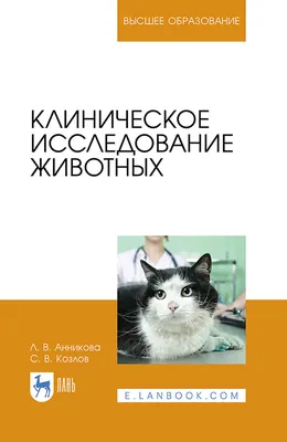 Александр Козлов: Животное можно записать к ветеринару онлайн в любое  удобное время