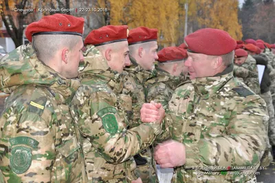 Сила и воля. Дрогичинцы стали обладателями крапового берета - Драгічынскі  веснік