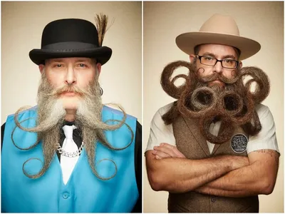 Борода для мужчины – так же круто, как длинный нос для обезьяны-носача -  Газета.Ru