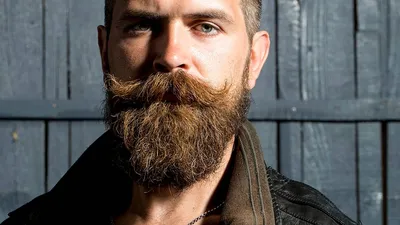 Эксперты рассказали, почему мужчины продолжают отращивать бороду - РИА  Новости, 