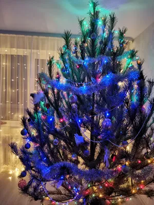 Самые красивые новогодние елки вашего города - РИА Новости, 