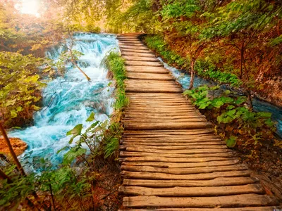 Скачать обои осень, лес, пейзаж, водопад, nature, water, autumn, waterfall,  раздел природа в разрешении 1440x900 | Водопады, Пейзажи, Красивые места