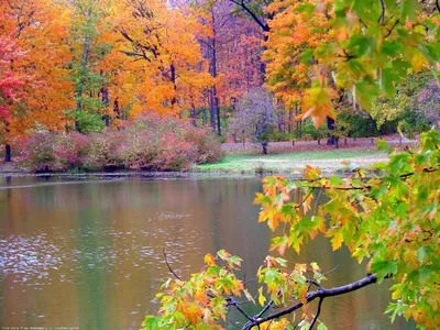 Осень очень красивая природа - 73 фото