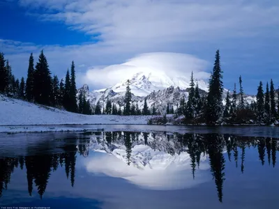 Красиво и прекрасно зимой! | Paysage hiver neige, Paysage de neige, Paysage  hiver noël