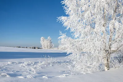 Зимний день картинки (27 фото) скачать