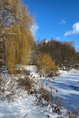 Зимние рисунки рабочего стола - 66 фото