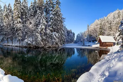 Красивая зимняя природа картинки
