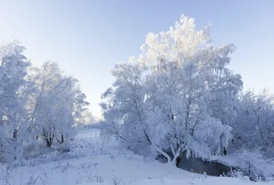 Нереально красивая зима! Новый год! Зимняя природа во всех красках. -  YouTube