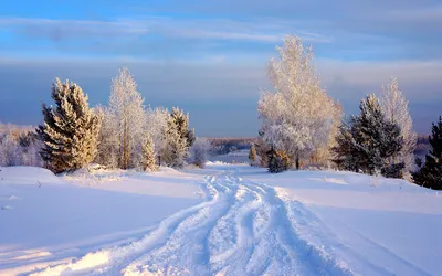 Красивая зимняя природа - Зима - Фото галерея - Галерейка