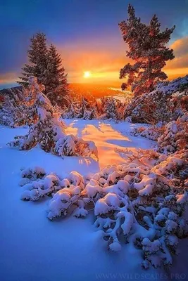 Красивая зимняя природа #46