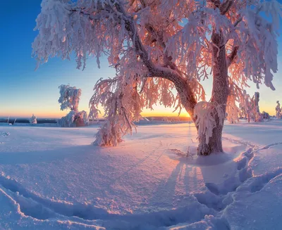 Красивая зимняя природа,перисто- …» — создано в Шедевруме