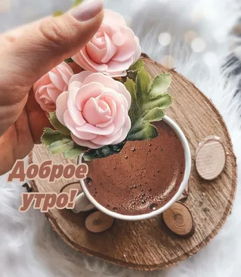 Pin by Kira Lanak on Доброе утро и день | Good morning coffee, Tableware,  Good mood