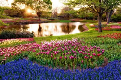 Красивая весна: выберите ваше идеальное изображение | Красивые весны Фото  №959173 скачать