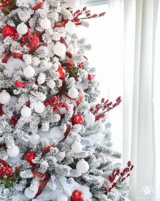 Заказать доставку новогодние елки свежие в Королёве: 40 исполнителей с  отзывами и ценами на Яндекс Услугах.