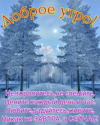 1 февраля в Вырице