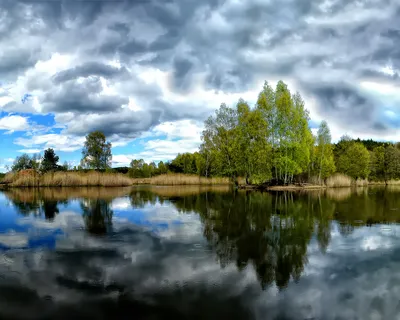 Красивые золотые рыбки под водой Обои для рабочего стола 1280x1024