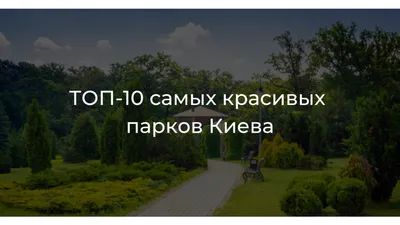 Картинка на рабочий стол красиво, розовый, фон, обои, природа, цветочки,  цветы 1280 x 720