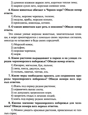 Рюкзак Ортопедический Monster High и энгри бердс в 1-4 класс супер красивые.  Школьные рюкзаки, ранцы (ID#1462727326), цена: 583 ₴, купить на 