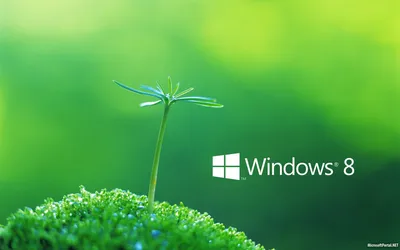 Красивые обои Windows 8 – Часть 4 » MSPortal