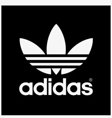 картинки : ночь, поход по магазинам, Adidas, Рыбий глаз, Атлантический  город 4912x3264 - - 933658 - красивые картинки - PxHere