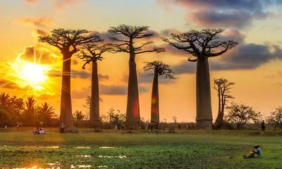 Самые красивые места Африки | Best of Africa | Дзен