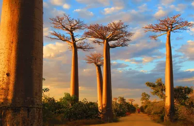 Белая лилия в нежной руке»: 10 самых красивых стран Африки