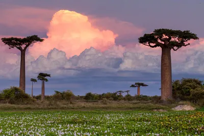 20 самых красивых мест Африки - Zefirka