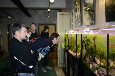 Аквариум на заказ в Балашихе: 60 аквариумистов с отзывами и ценами на  Яндекс Услугах.