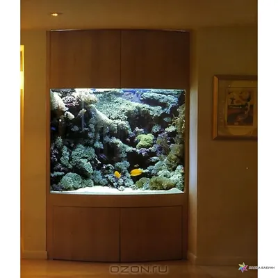 Комната аквариум, красивая нереальная …» — создано в Шедевруме