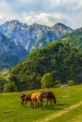 Внешность азербайджанцев девушек - 67 фото