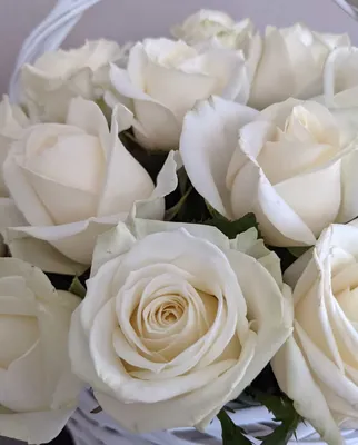 35 белоснежных роз в корзине  Br ❀ Цветочная мастерская Флореаль