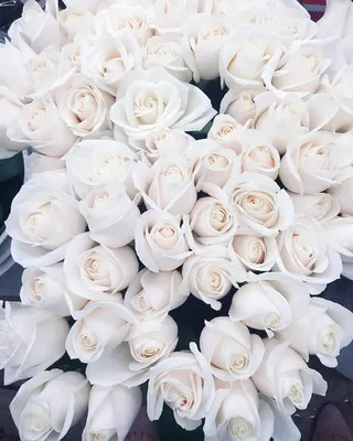 Pinterest | Flower aesthetic, White flowers, White aesthetic