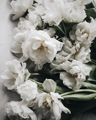 Новости | Flower aesthetic, Beautiful flowers, Floral