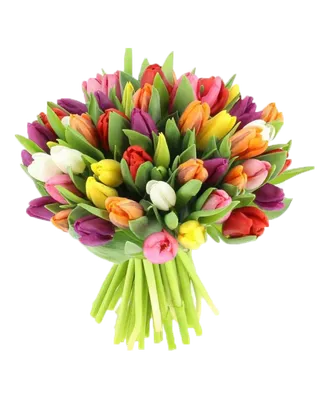 Букет тюльпанов "Весенний" - Красивые цветы в Тамбове