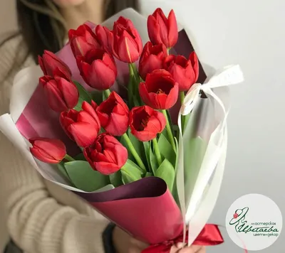 Милый букет тюльпанов в подарок на 14 февраля 'Что я могу еще сказать?' ©  Цветы60.рф