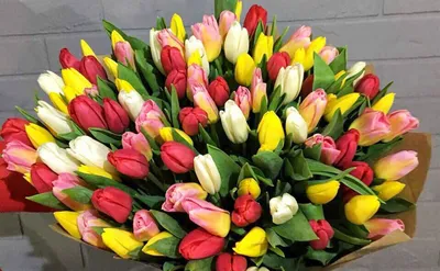 Как правильно выбрать цветы к 8 Марта - Новости Тулы и области - 