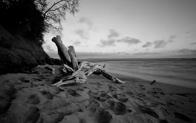 monochrome, красивые чб картинки душевные, девушка грустит черно белое  фото, чёрно белая фотография, фотограф, black white, Свадебный фотограф  Москва