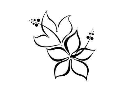 Флизелиновые фотообои красивые розы 416x254 см Белые цветы на черно-сером  фоне (10030VEXXXL) +клей (ID#1925375681), цена: 2000 ₴, купить на 