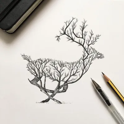 Легкие рисунки черной ручкой природа - 62 фото