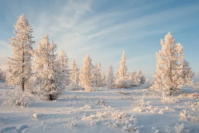 Декабрь открытки красивые (31 фото) » Уникальные и креативные картинки для  различных целей - 