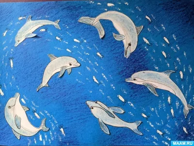 Купить картина по номерам Красиво Красим Дельфины и рыбки, 60 х 90 см, цены  на Мегамаркет | Артикул: 600004300303