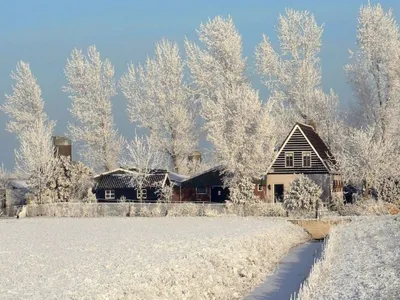 Деревня в снегу - красивые фото