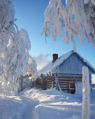 Зима в деревне - фото и картинки: 59 штук