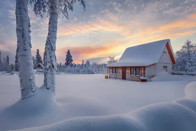 В Беловежской пуще затерялась деревня с одной жительницей. Зато посмотрите,  какая там сказочно красивая зима! - 