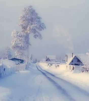 Ночная зимняя деревня (57 фото) - 57 фото